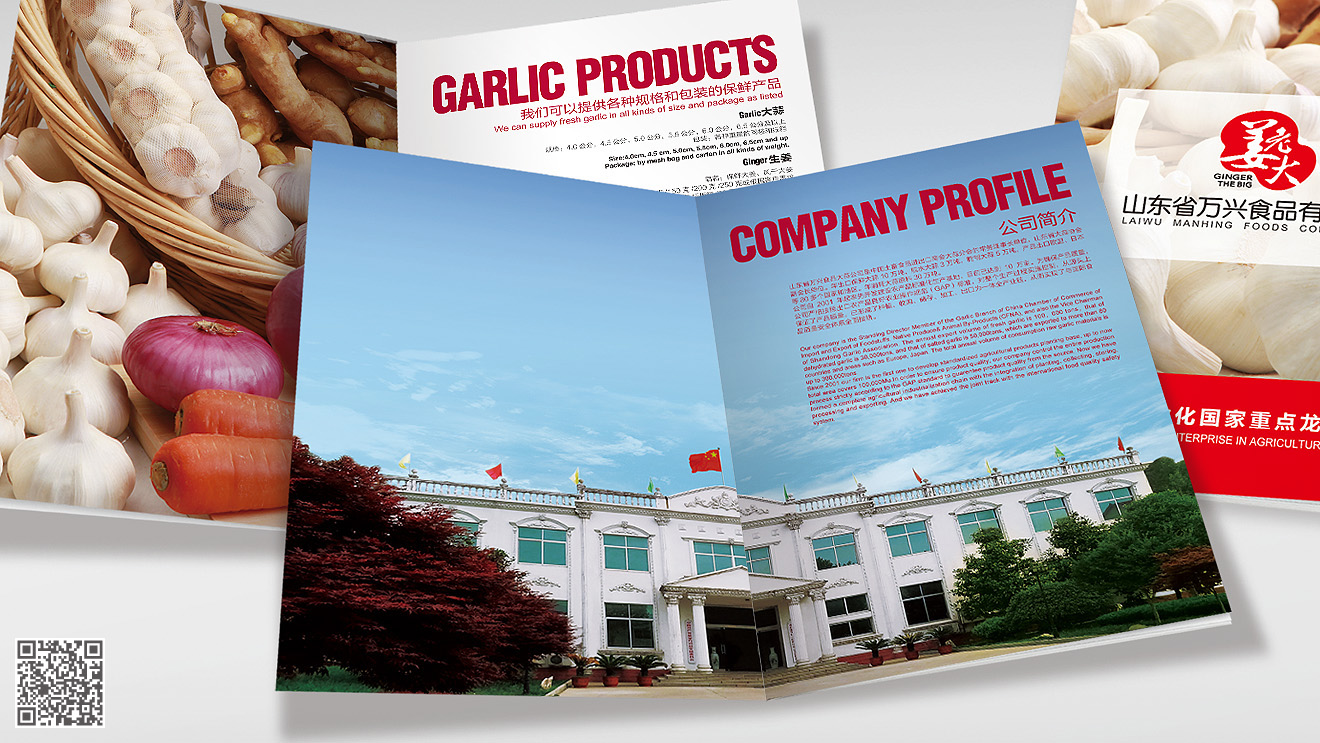 山東姜老大產(chǎn)品畫(huà)冊(cè)設(shè)計(jì)印刷