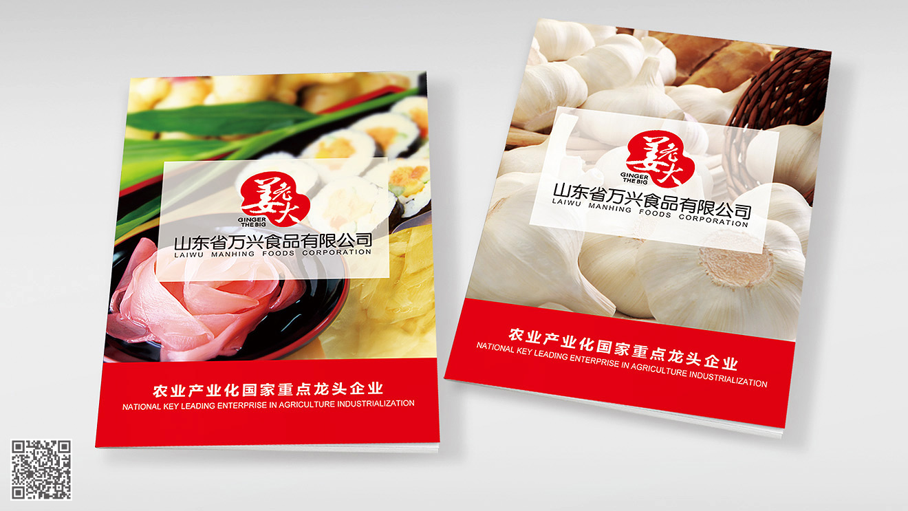 山東姜老大產(chǎn)品畫(huà)冊(cè)設(shè)計(jì)印刷