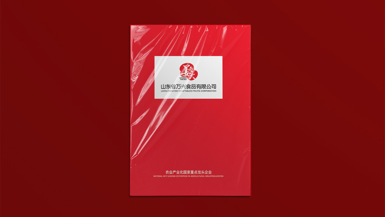 山東萬興食品（姜老大）畫冊