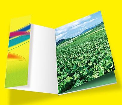 畫冊設計中文字排版的獨特技巧